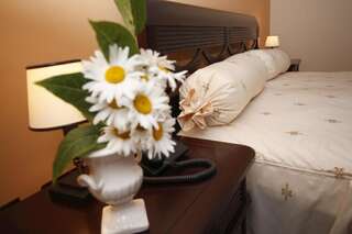 Мотели Bucium Motel & SPA Яссы Двухместный номер с 1 кроватью и бесплатным доступом в спа-центр-4